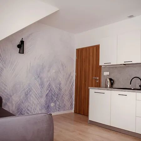 Brzozowe Zacisze Appartement *
